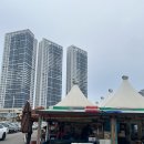 일광여객 | 속초 오징어난전 내돈내산 솔직후기 11호 일광호한흥호 속초 주말에 먹고 온 동명항 오징어난전 시간...