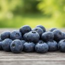 능동농장 이미지