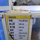 와라횟집 | 포항횟집 맛집 오천 문덕 대박회센타 모듬회스페셜