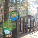 오대산서울 이미지