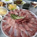 광복호 식당 | 화성 궁평항 수산시장 인생 대방어 광복호 내돈내산 솔직후기!(온누리 상품권 환급까지)