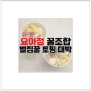 요거트 아이스크림의 정석 요아정 꿀조합 벌집꿀 토핑 메뉴 휘둥그레