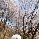 바우스쿨 이미지