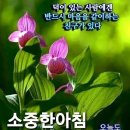 8월 17일 목요일 간추린 뉴스와 날씨 이미지