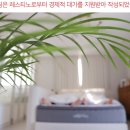 침대 매트리스 렌탈 브랜드 레스티노 실사용 후기