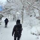 도이터대구 | + 여자 당일 등산가방 추천 _ 그레고리 아리오 24L