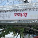 병권네포도농원