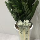 이문한치과 네이버블로그