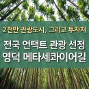 전국 언택트 관광 100선 선정, 영덕 벌영리 메타세콰이어길 이미지