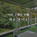 뷰맛집으로 유명한 시흥 소래산카페 &#39;하우 앤 여우&#39; 애견동반 후기