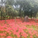 백운산자연휴양림 이미지