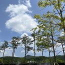 추풍령(서울)휴게소 이미지