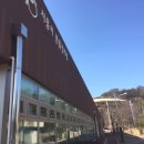 론볼경기장 이미지