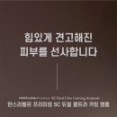 디엔에이씨 이미지