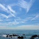 짬뽕타운 - 부천시 원미구 부흥로303번길 6 | 내돈내산 묵호 짬뽕타운 후기(문어짬뽕)