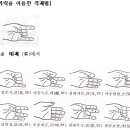 음양오행의원리 이미지