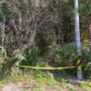 금광면사무소 주차장 이미지