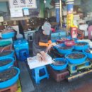 묵호어판장 이미지