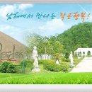 정성꽃원예