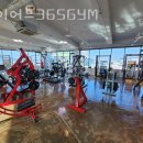 다이어트365GYM | 우암동헬스장 청원구 청주시 헬스 PT pt 피티 다이어트365GYM 가격 영업시간 소개