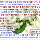 소리건재 이미지