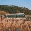 대교첨단러닝센터