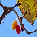 예술 산책 이미지