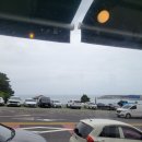 소원김밥