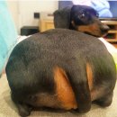 발리미장원 | 푱푱하다 푱푱한