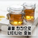 꿀물 - 부산진구 서면로 29-10 | 꿀물