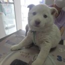 사문진로 이미지