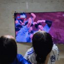 화난돼지 이미지
