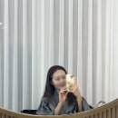 대전 그레이스케일 스튜디오 웨딩 촬영 후기