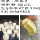고집불통왕족발