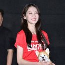 디디엠 이미지