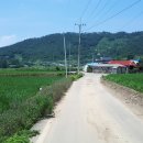 정남 민박 이미지