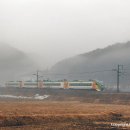 H4861 네이버블로그