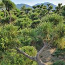 해송농장 이미지