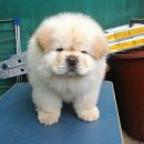 산속의집