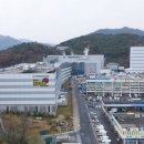 부산경남양돈협동조합 부경축산물공판장 | FTA 시대, 도축장이 달라졌다: 자동화·위생·자원화로 경쟁력 확보