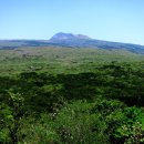 한라산둘레길 동백길 이미지