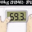 한국외식과학고등학교 | 인생은 마치 끝없는 궤도를 달리는 별 같아