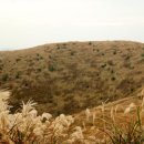 생각의 오름 이미지