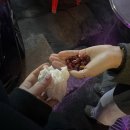 야한여자 미용실 | 2026년 2월 (下)