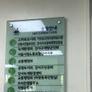 방화1동 하나은행앞 | 가족간 차량 명의 이전 방법 및 필요 서류 + 꿀팁
