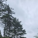 비봉산농장 이미지