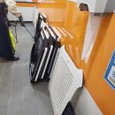 부안동초등학교 이미지