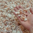 신통방통찜질방 | 익산 찜질방 신통방통 핑크솔트 후기