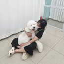 딥잉 산본점 이미지