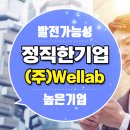 웰랩 네이버블로그